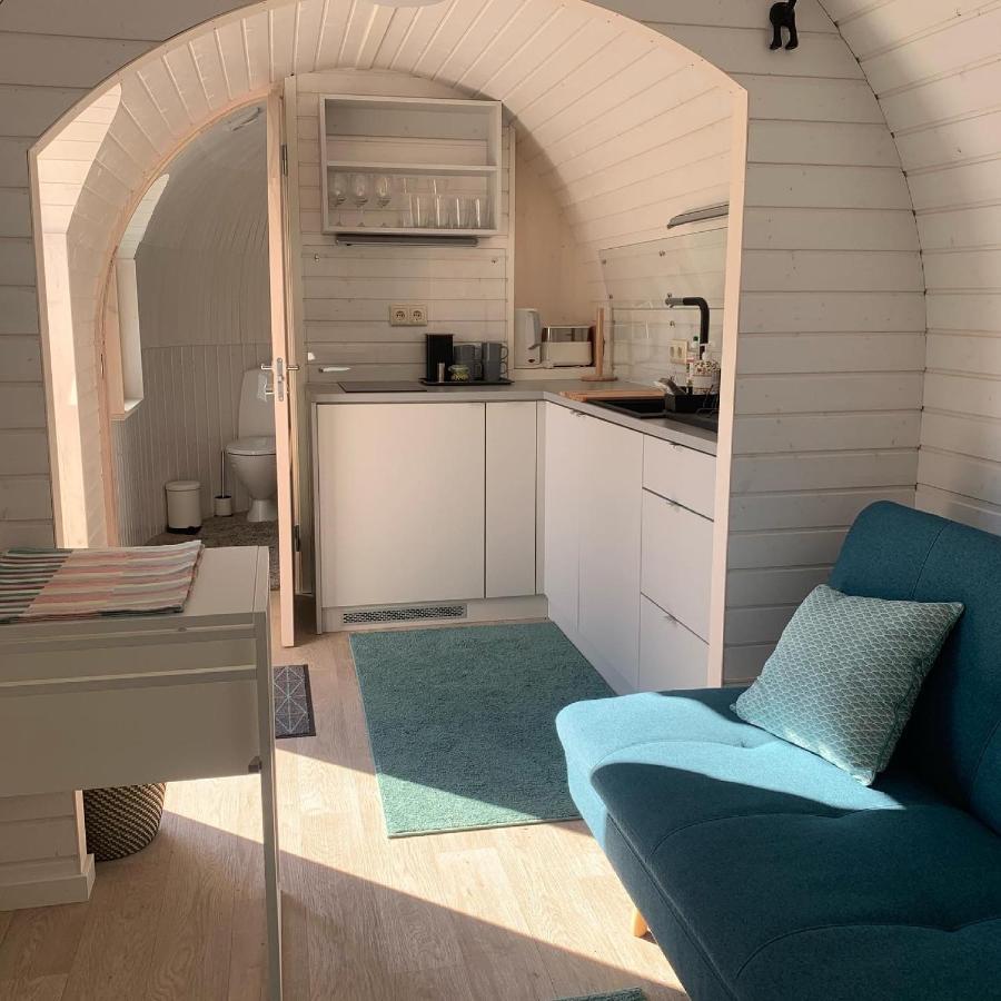 Kuldallika Igloo House And Iglusauna Kullamae Eksteriør billede