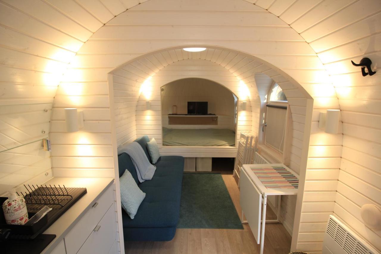 Kuldallika Igloo House And Iglusauna Kullamae Eksteriør billede